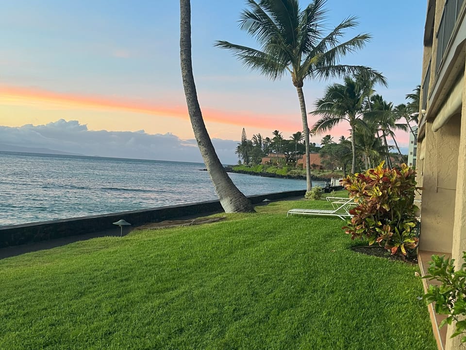 Lawn leading down to beach