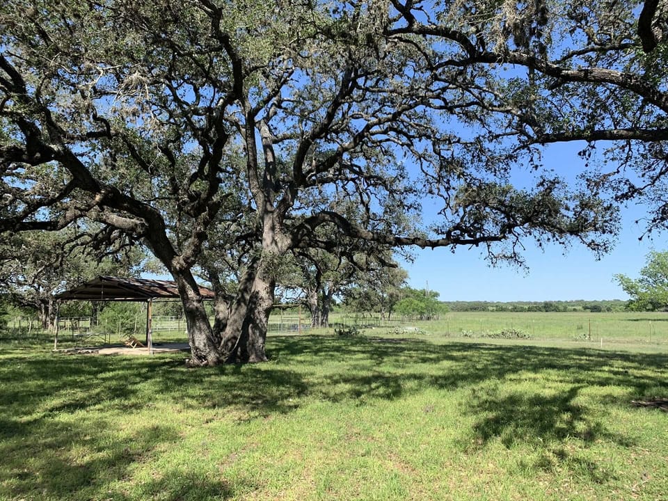 We have guests who feel drawn to visit this haven of Hill Country peace time and time again. Let us show it off to you!