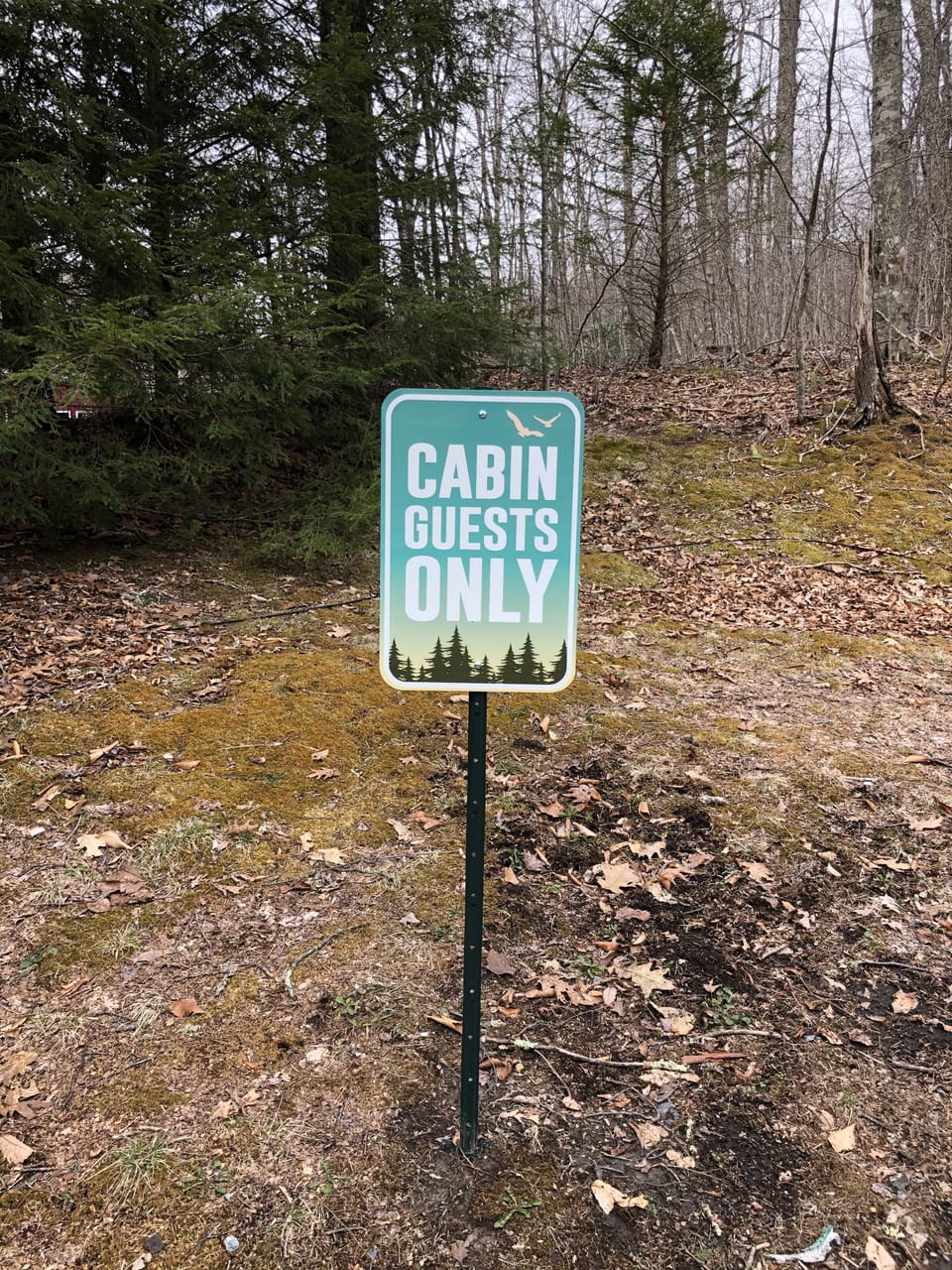 Guest Parking Space
