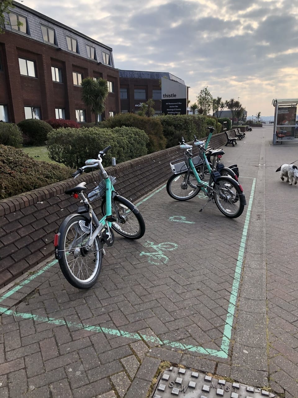 Beryl bike hire - download app