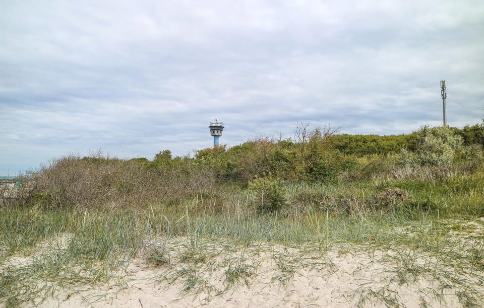 area