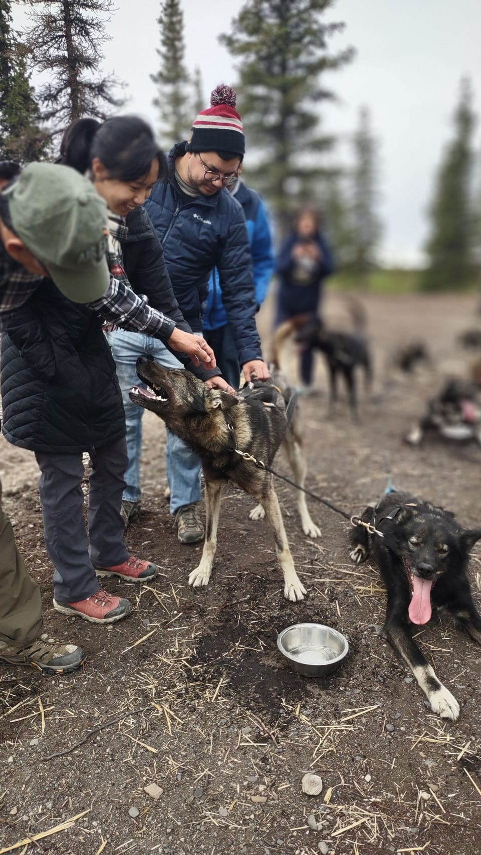 Pet-friendly