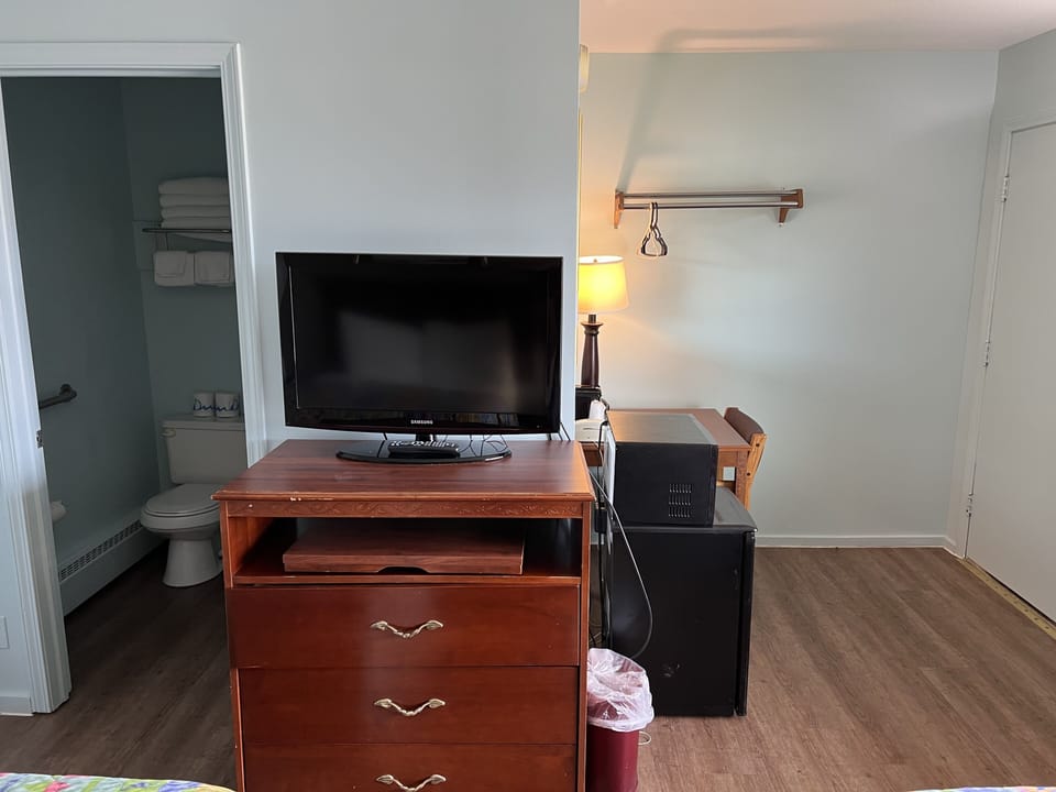 Standard Room, 2 Double Beds (Pets Allowed) | Room amenity