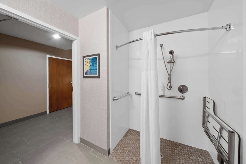 Room, 1 King Bed, Accessible, Non Smoking | Bathroom shower