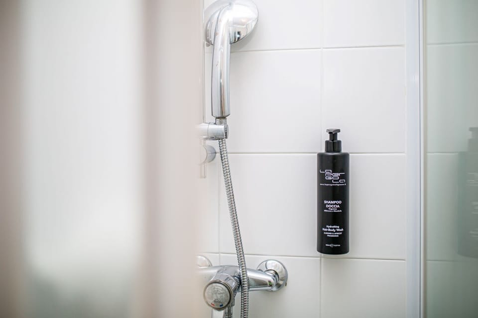Shower, hair dryer, bidet, towels