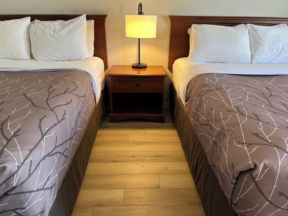 Standard Room, 2 Double Beds | Down comforters, pillowtop beds, desk, blackout drapes