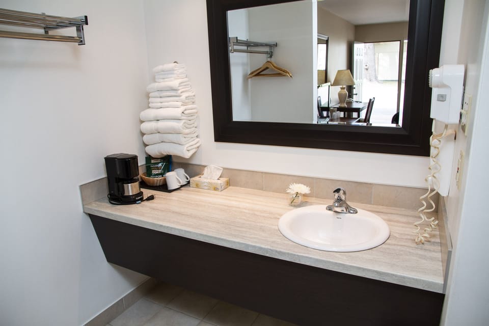 Bathroom sink