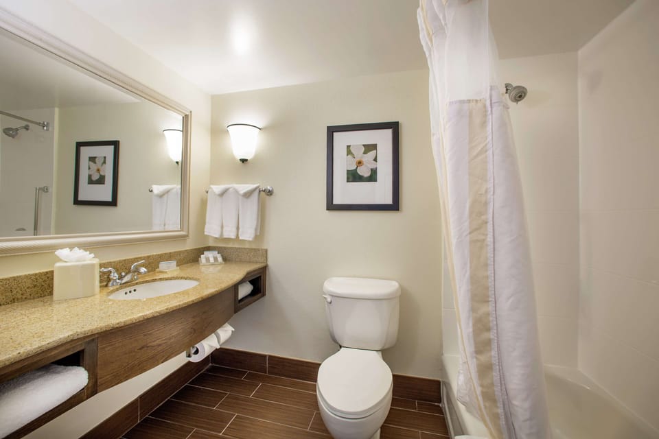 Combined shower/tub, free toiletries, hair dryer, towels