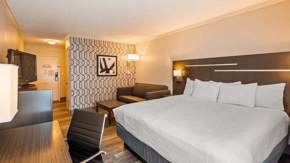 Business Room, 1 King Bed, Non Smoking, Refrigerator (with Sofabed) | In-room safe, blackout drapes, iron/ironing board