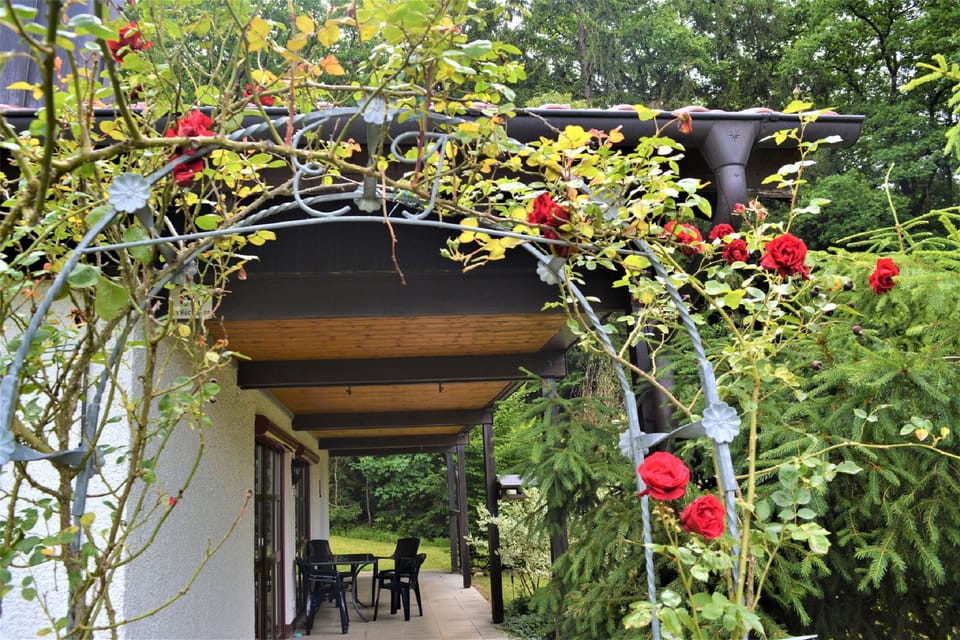 House, 4 Bedrooms, 2 Bathrooms (Rose) | Terrace/patio