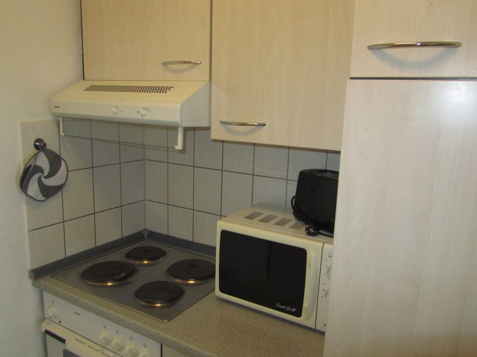 Apartment, Terrace | Private kitchenette | Fridge, microwave, oven, stovetop