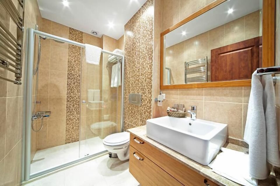 Shower, free toiletries, hair dryer, bathrobes