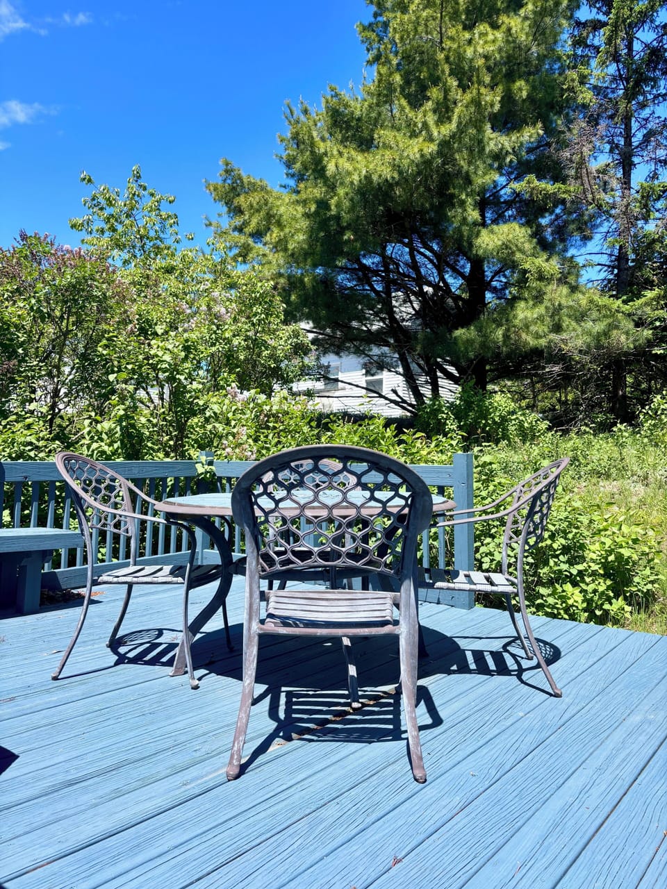 Dining Area in the backyard 