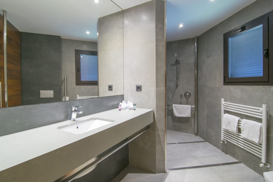 Deluxe Double Room | Bathroom | Free toiletries, towels
