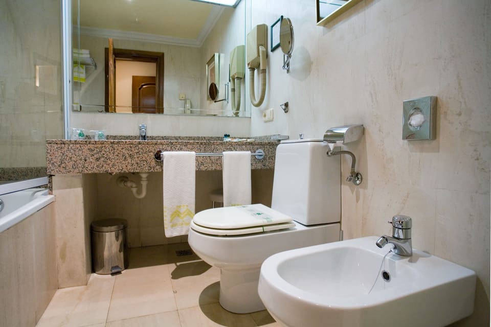 Combined shower/tub, free toiletries, hair dryer, bidet