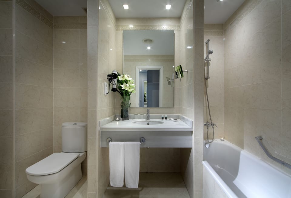 Combined shower/tub, eco-friendly toiletries, hair dryer, bidet