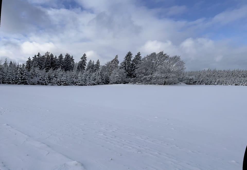 View from property