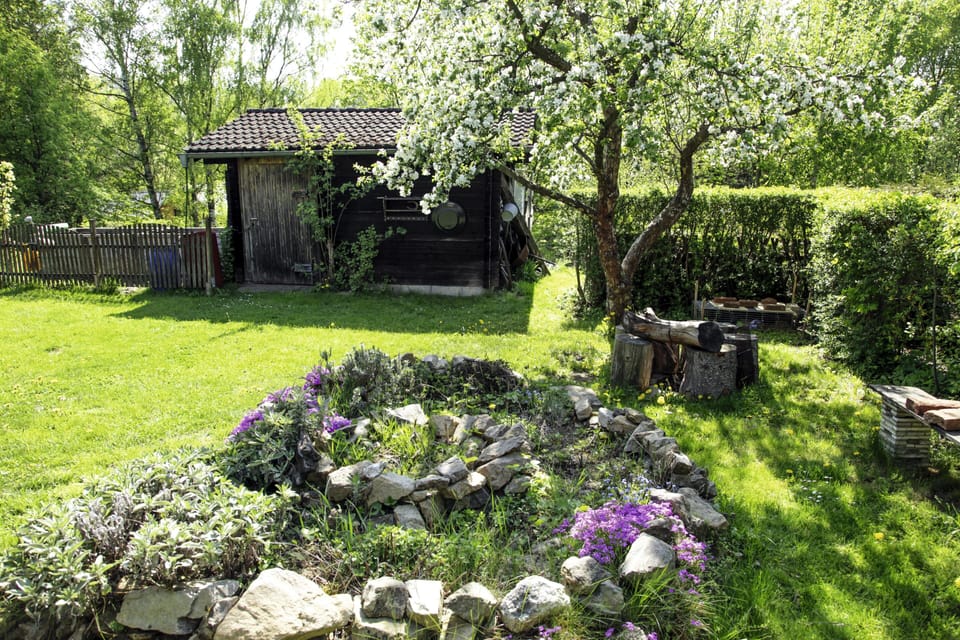 Classic Apartment, 2 Queen Beds, Non Smoking, Terrace | Garden view