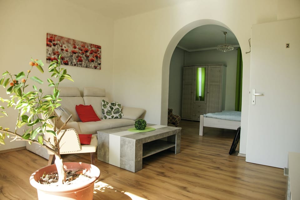 Classic Apartment, 2 Queen Beds, Non Smoking, Terrace | Living area | Flat-screen TV