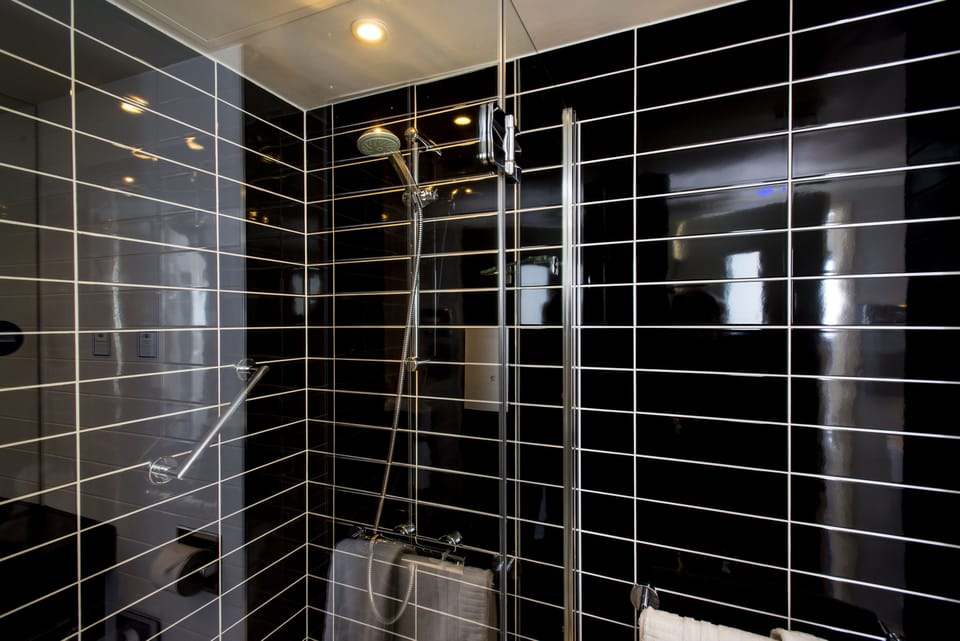 Shower, eco-friendly toiletries, hair dryer, towels