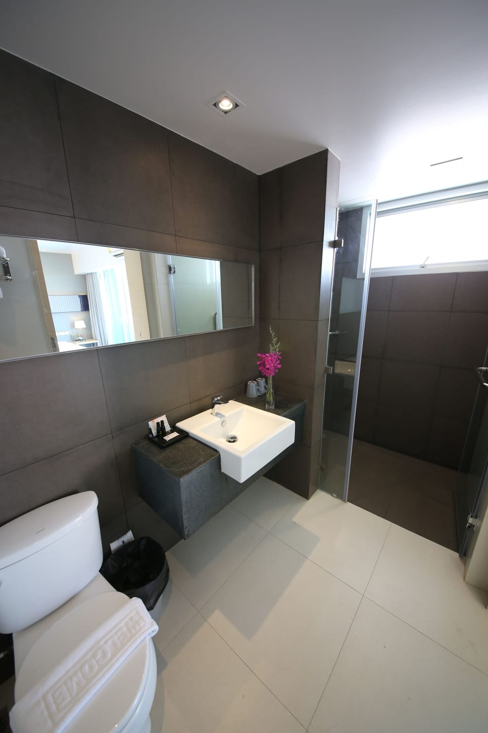Shower, free toiletries, hair dryer, bidet