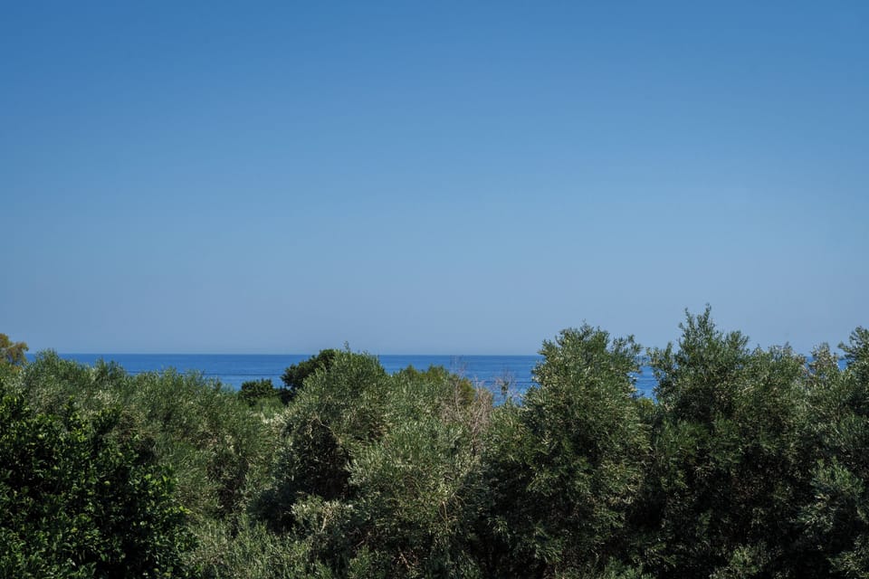 Studio, Sea View | Balcony view
