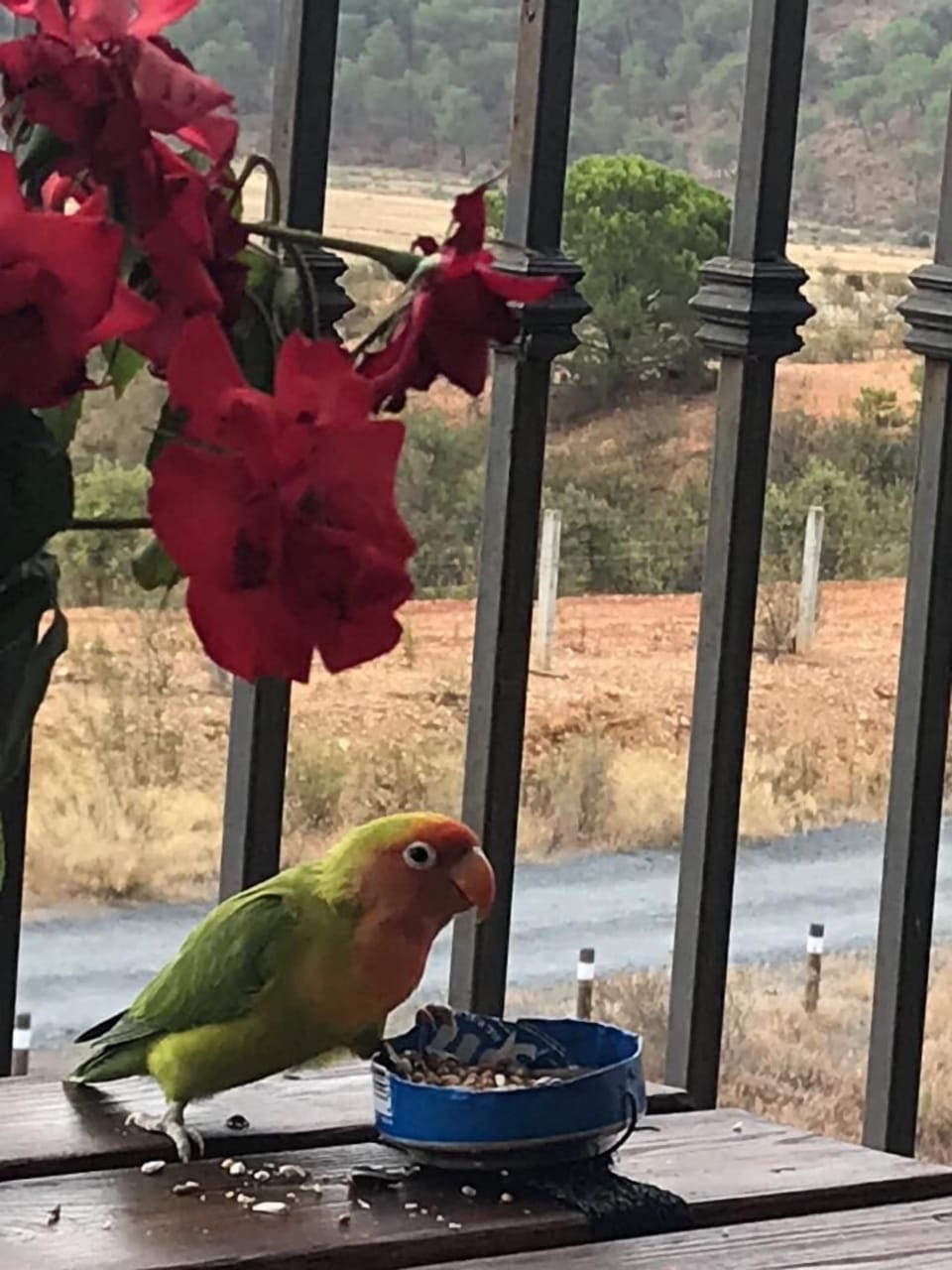 View from property