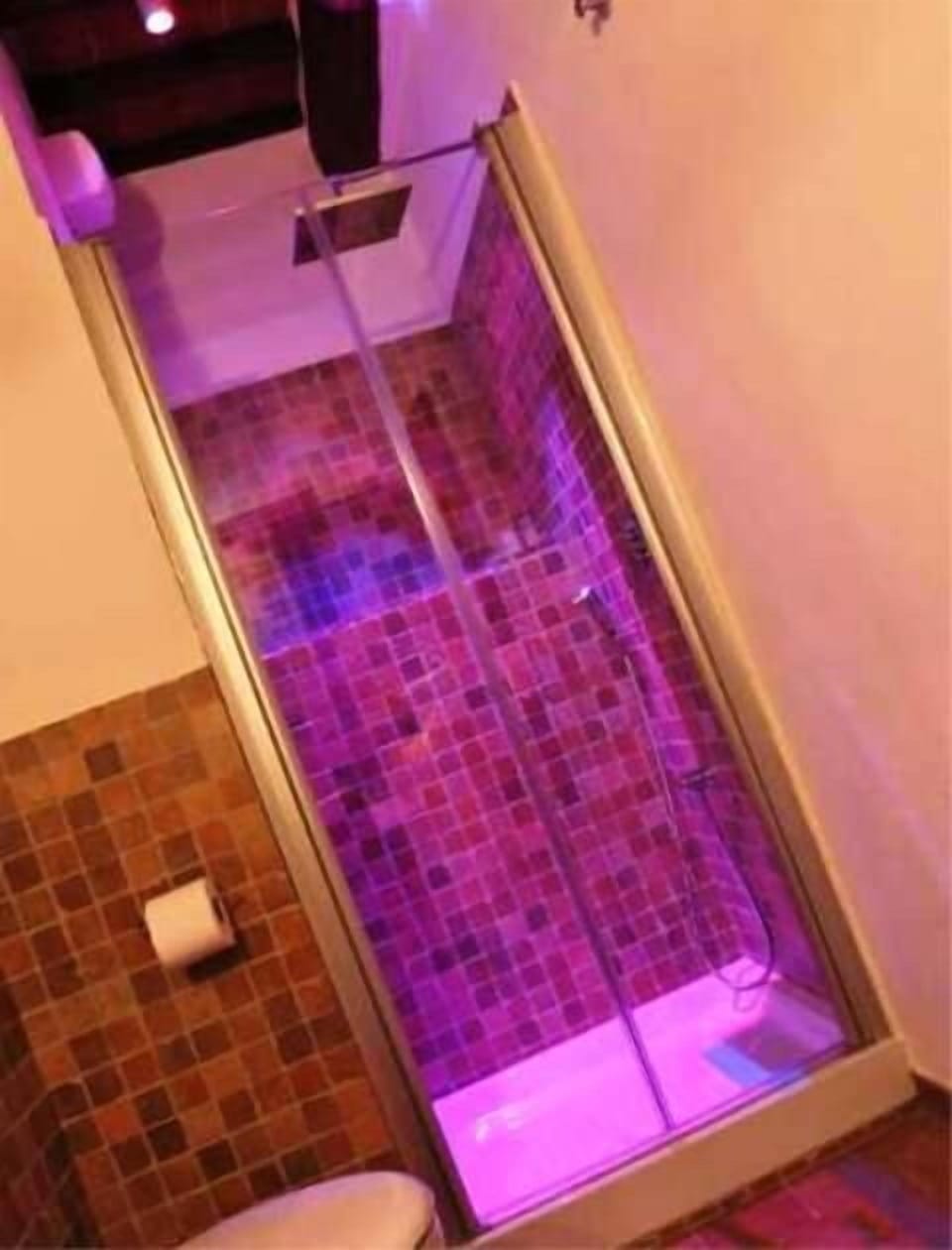 Shower, rainfall showerhead, hair dryer, bathrobes