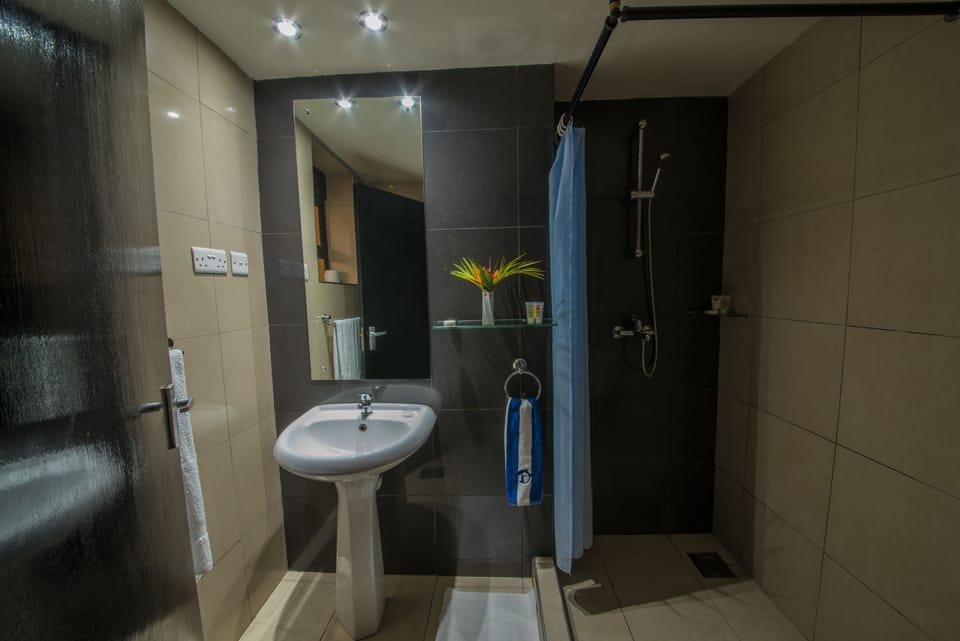 Bathroom shower