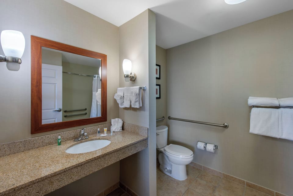 Suite, 1 King Bed with Sofa bed, Accessible, Non Smoking (Roll-In Shower) | Bathroom | Deep soaking tub, free toiletries, hair dryer, towels