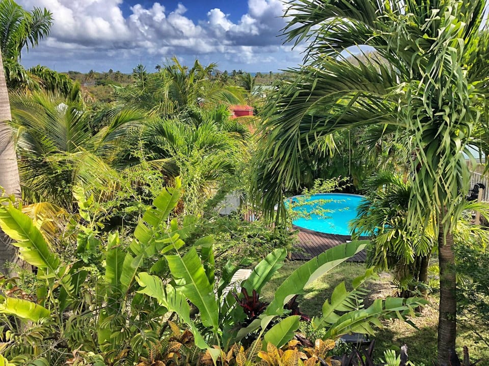 The garden and the swimming pool