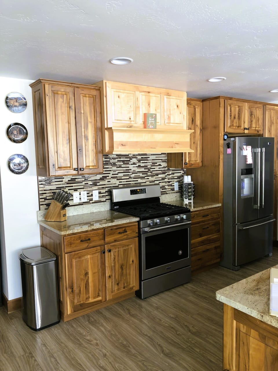 Gas stove and oven