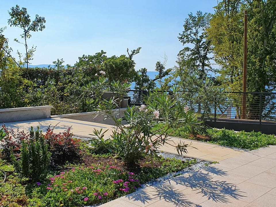 Garden, Vegetation, Property, Tree, Daytime, Real Estate, Residential Area, Botany, Plant, Public Space