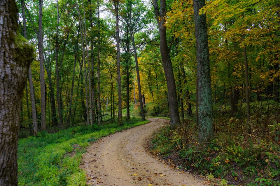 Looking up our private drive toward cabin.