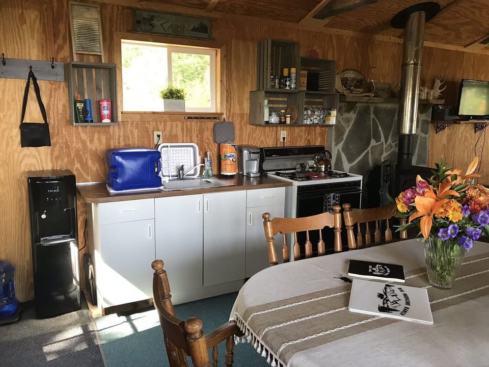 Gas Stove