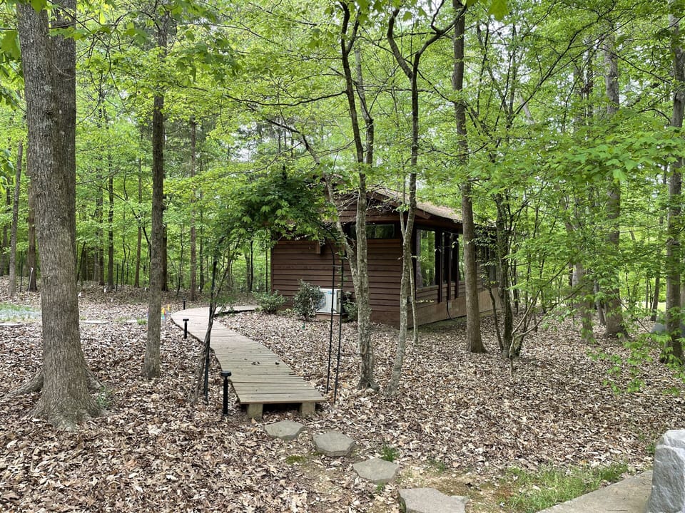 The trees in bloom really capture the cabins coziness 