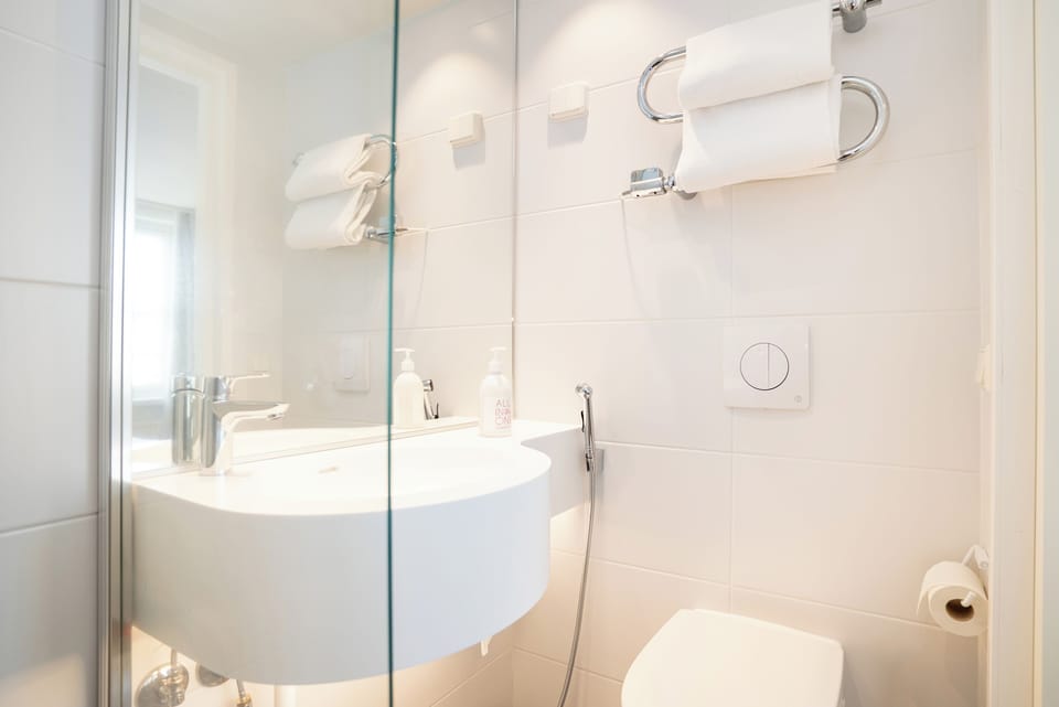Shower, hair dryer, bidet, towels