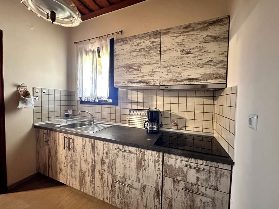 Standard Apartment, 1 Bedroom, Garden View | Private kitchen | Fridge, stovetop, coffee/tea maker, electric kettle