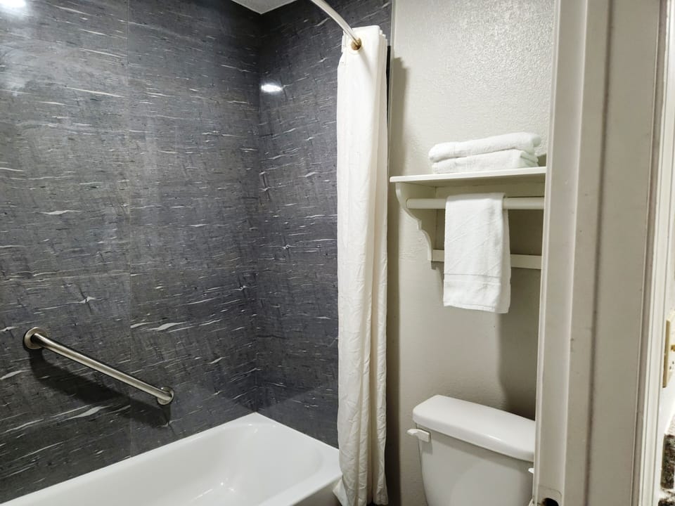 Combined shower/tub, free toiletries, hair dryer, towels