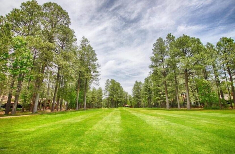 Beautiful fairway off the backyard