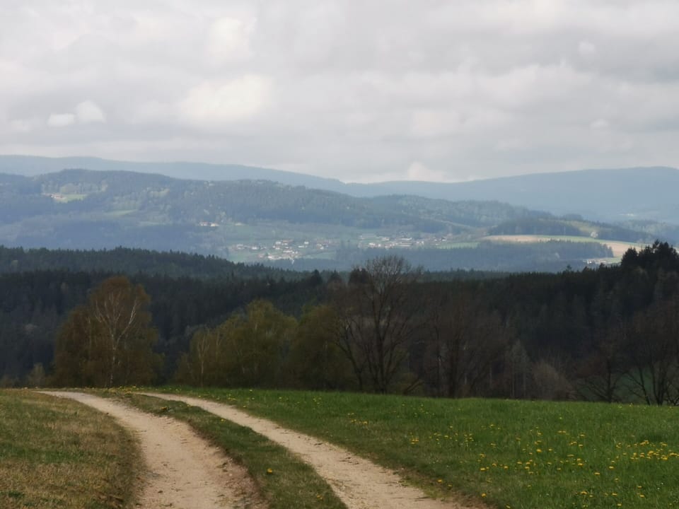 Hiking