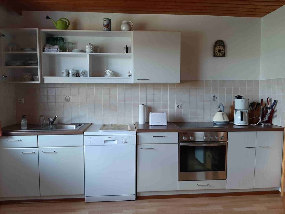 Apartment | Private kitchen | Full-size fridge, oven, stovetop, dishwasher