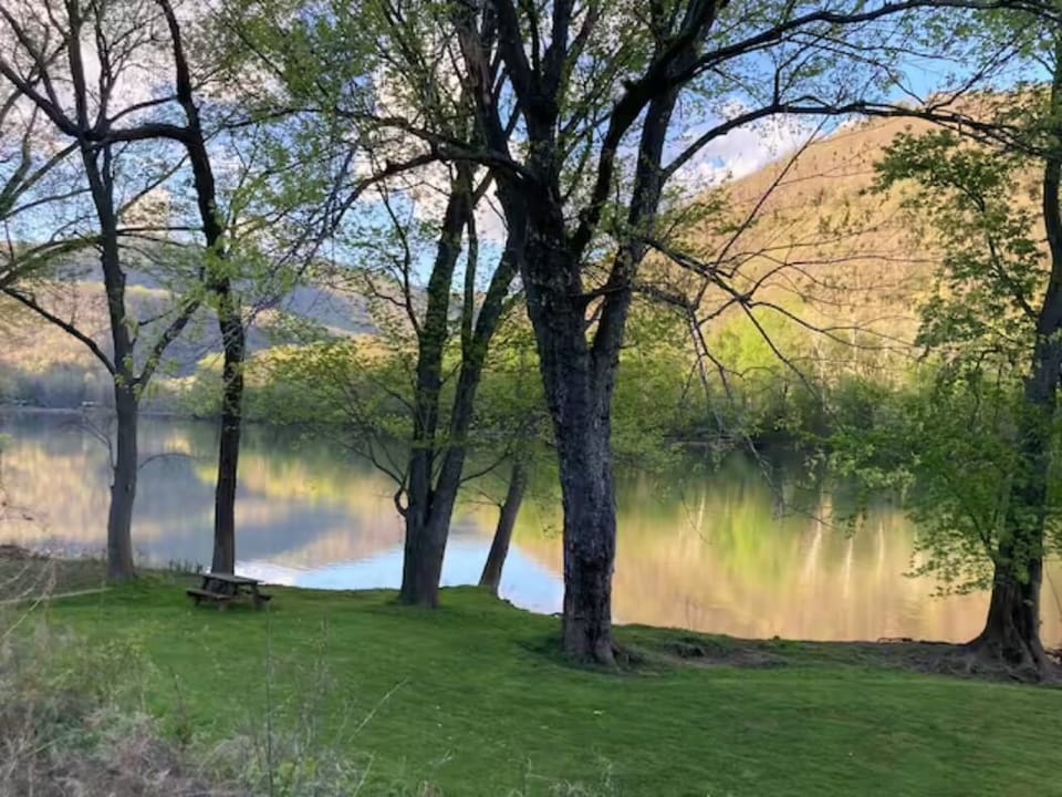Lower portion of the river lot looking downriver. 
