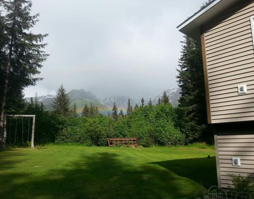 Summer yard view