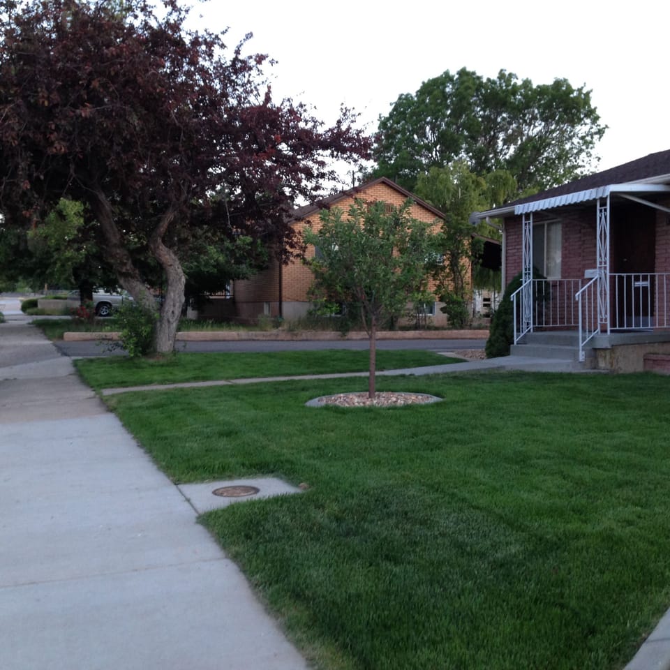 Street view outside front of home