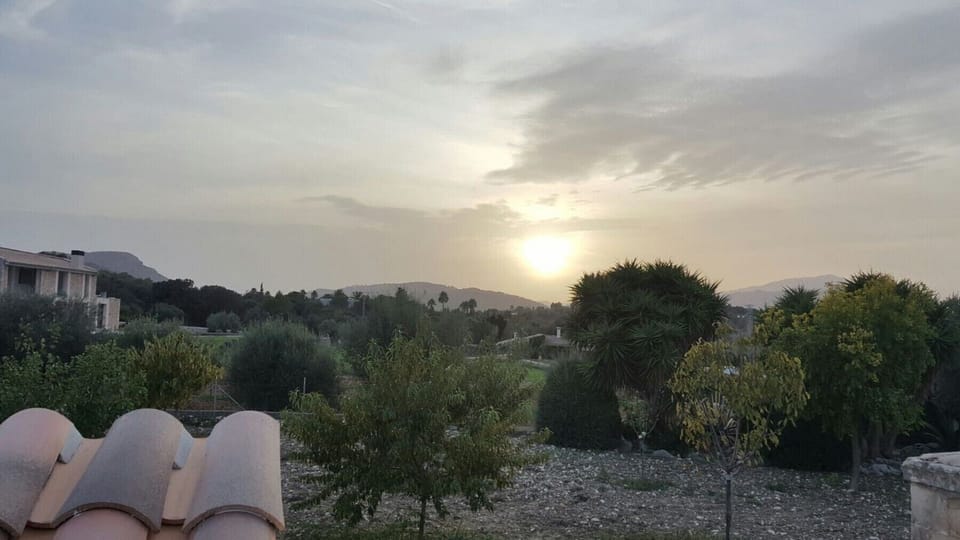 View to the backyard of the Finca Pegasus Alcudia