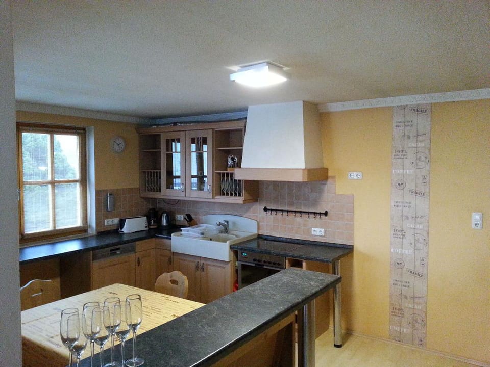 Apartment, Ground Floor | Private kitchen | Fridge, microwave, oven, dishwasher
