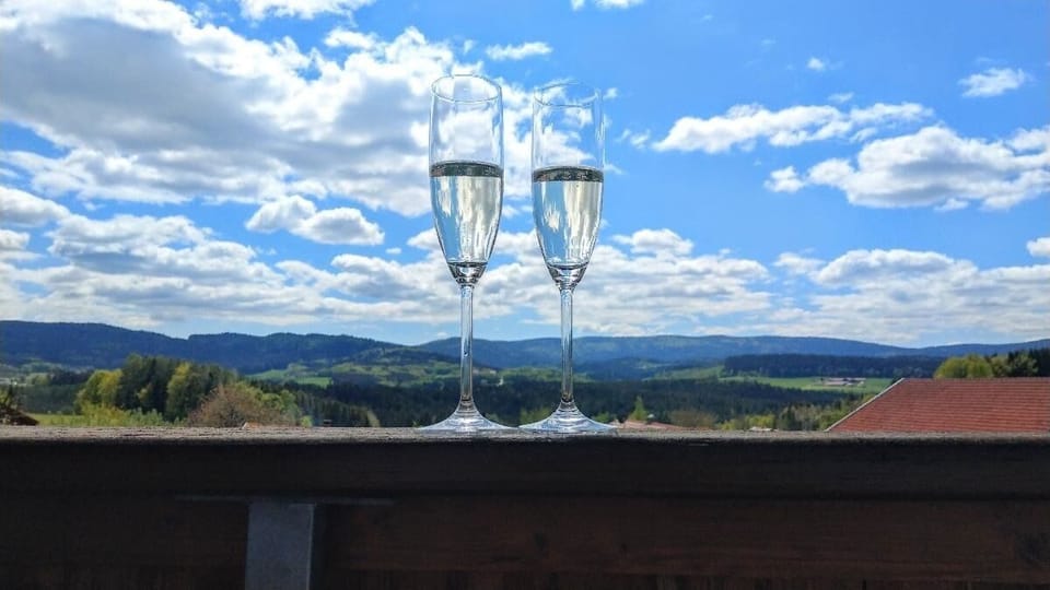 Apartment, 2 Bedrooms (Platzhirsch) | Free WiFi