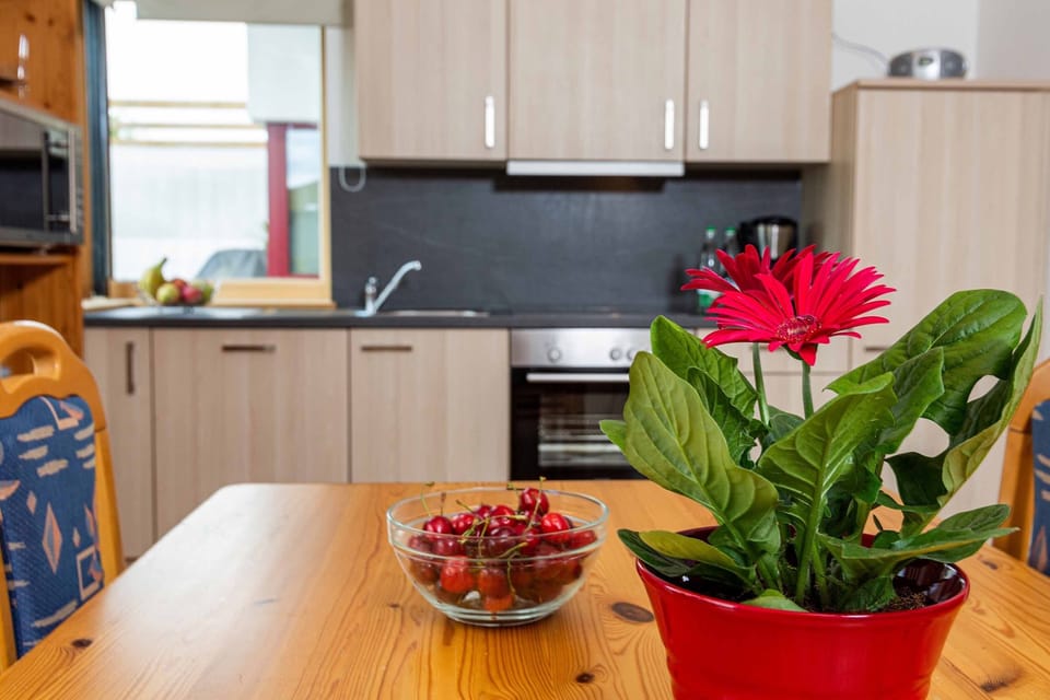 Apartment | In-room dining