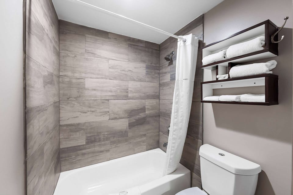 Combined shower/tub, free toiletries, hair dryer, towels